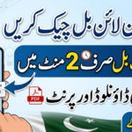 PESCO Online Bill Download 2026